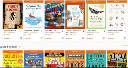 ny public library ebook
